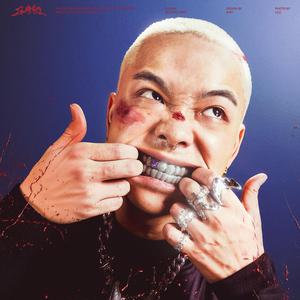 亚洲毛耸耸阴户特写
