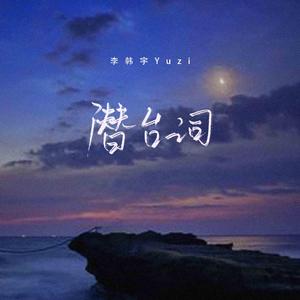 亚洲毛耸耸阴户特写
