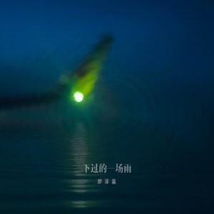 亚洲毛耸耸阴户特写
