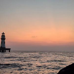 亚洲毛耸耸阴户特写
